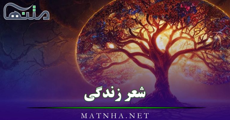 شعر زندگی از شاعران مختلف (55 شعر زیبا درباره زندگی)