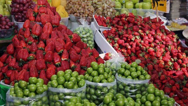پرشیا تجارتی: تخفیف عظیم بر روی میوه‌های فریش مناسب فصل