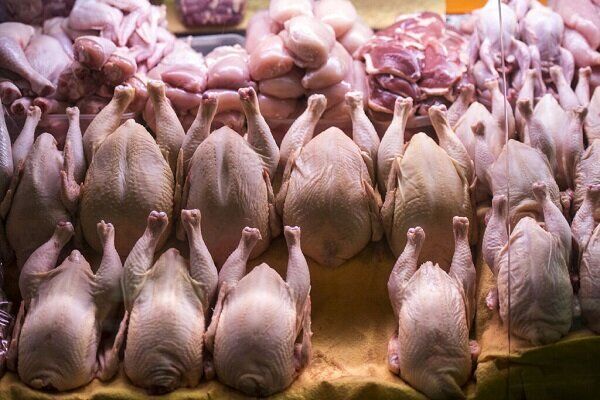 تازه‌ترین قیمت مرغ در بازار: ۱۹ اردیبهشت ۱۴۰۳، نرخ‌ها در جریان!
