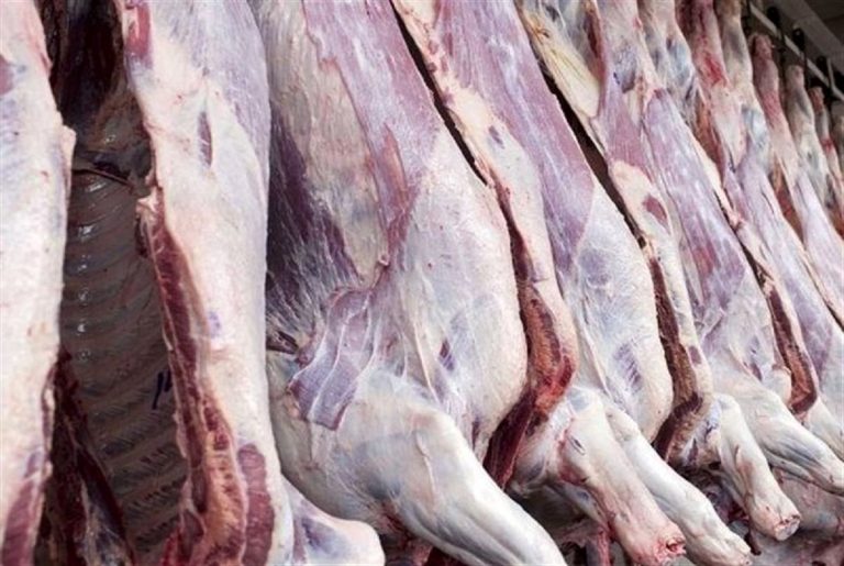 کشف آخرین قیمت‌های داغ گوشت بره در بازار: نرخ‌های روز چهارشنبه ۲ خرداد!