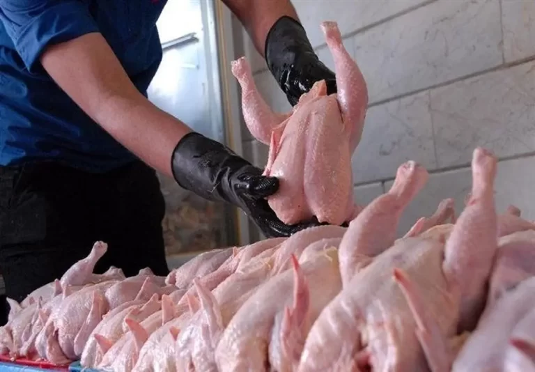 تضمین خرید 35 هزار تن گوشت مرغ با قیمت فوق العاده