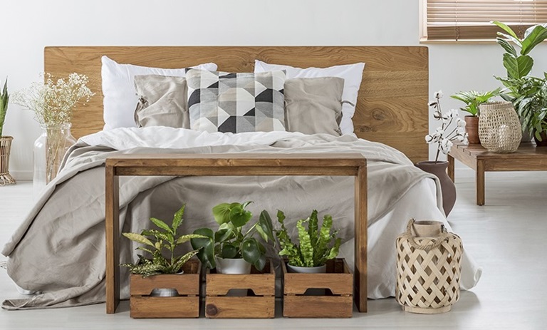 خوابی رویایی با این 8 گیاه آپارتمانی عالی برای اتاق خوابتان!