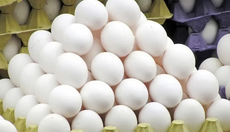 قیمت‌های به‌روز: نگاهی به نرخ تخم‌مرغ در بازار 7 تیر 1403 – دریافت جدول کامل همینک!