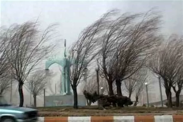 شتاب بی‌سابقه در وزش بادهای معروف 120 روزه شمال سیستان و بلوچستان