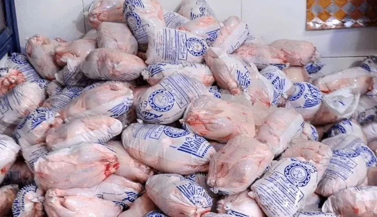 رکورد جدید صادرات: میزان فروش مرغ به بازارهای خارجی از مرز ۶,۳۰۰ تن گذشت!
