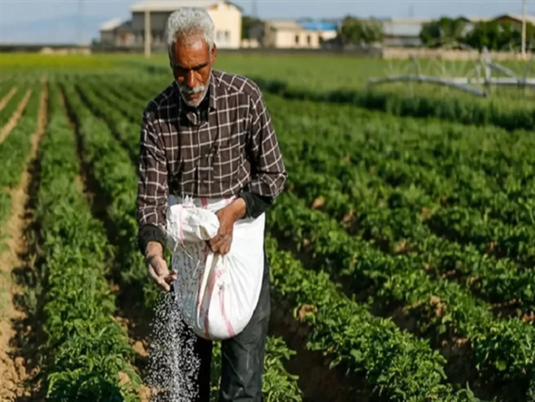 فرصت طلایی برای کشاورزان: دریافت ۱۰ میلیون تومان پاداش!