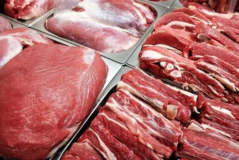 ورود بیش از ۳۳ هزار تن گوشت گرم و منجمد: حجم ورودی عظیم گوشت به کشور