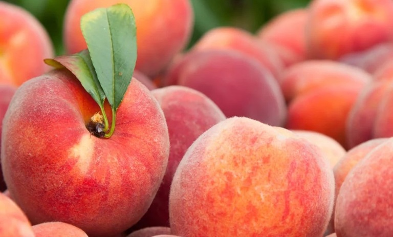 چطور بفهمیم به هلو حساسیت داریمؤ ده نشانه کلیدی که نباید نادیده گرفت!