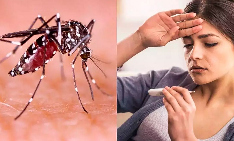 رازهای تب دنگی: همه نکات کلیدی که برای محافظت از خود نیاز دارید!