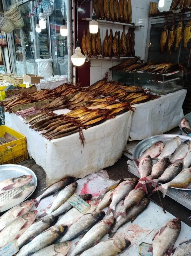 افت چشمگیر در میل ایرانیان به ماهیگیری: راز کاهش پرسش‌برانگیز مصرف ماهی در ایران