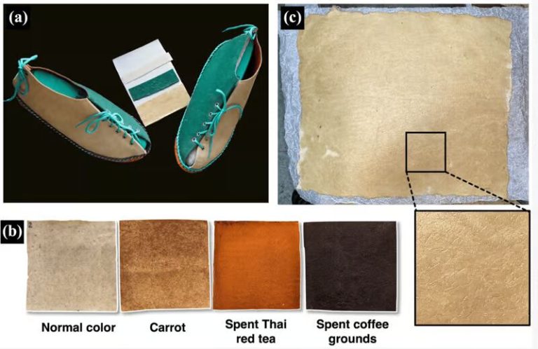اکنون پارچه‌ای زیست‌محیطی: آشنایی با ابتکاری برگرفته از طبیعت – چرم انقلابی ساخته شده از آناناس!