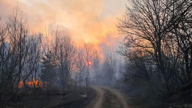 تصاویر حیرت‌انگیز از آتش‌سوزی مهیب در دل جنگل‌ها و مزارع سبز گیلان غرب