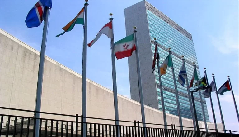 پاکستان: نقش جدید به مثابه عضو موقت در قلب تصمیم‌گیری‌های جهانی – شورای امنیت سازمان ملل