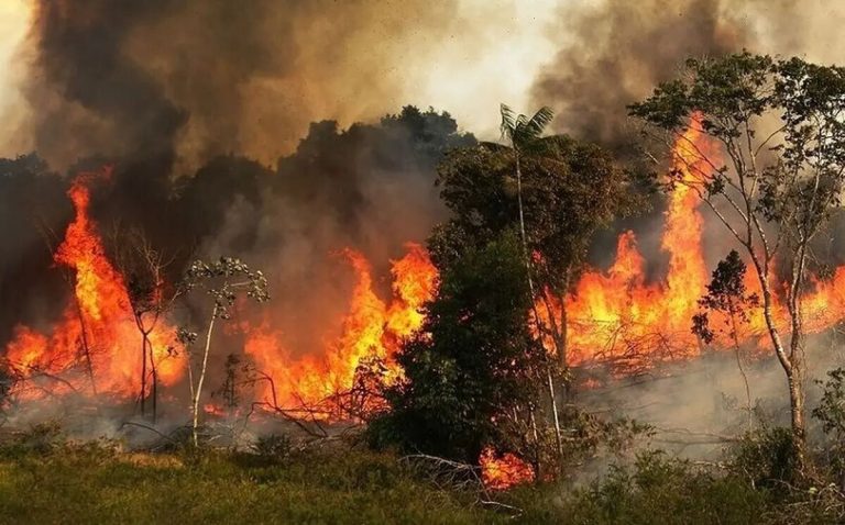 شعله‌های خشمگین جنگل‌های لرستان سرانجام از پا درآمدند: آتش‌سوزی مهار شد!