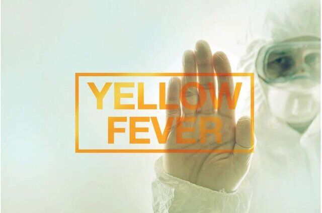 معمای پزشکی: شما درباره «تب زرد» چقدر اطلاعات دارید؟