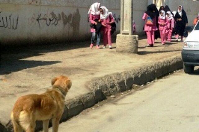 فرزند چهار ساله گمشده از گرگان با حضور خانواده به خانه بازگشت