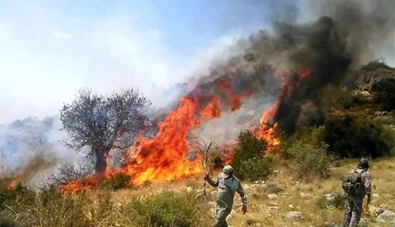 آتش سوزی مراتع شهرستان کامیاران مهار شد