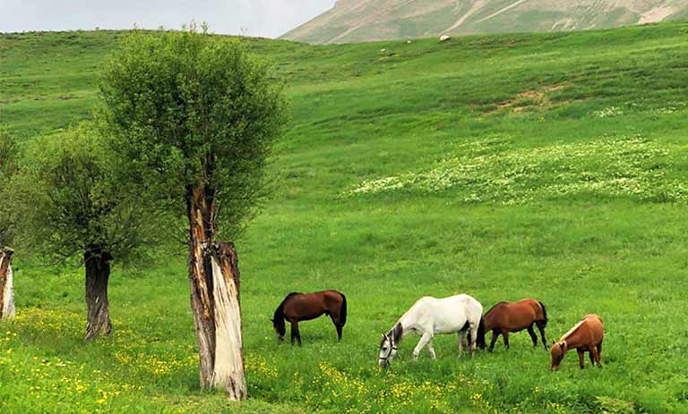 10 مناطق خنک اطراف تهران؛ برای سفرهای یک روزه در تابستان