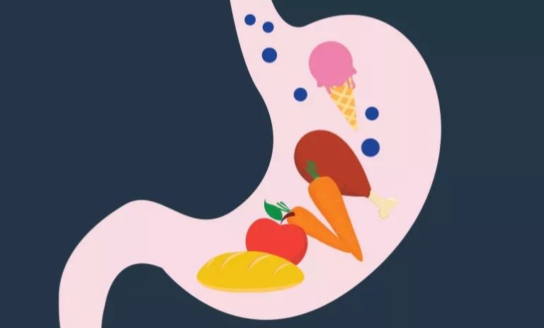 14 راهکار راحت و مؤثر برای هضم سریع‌تر غذا بعد از پرخوری