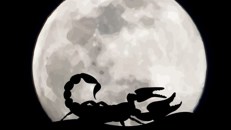 شهریور ماه، زمانی خاص و جذاب که قمر در آسمان عقرب می‌نشیند