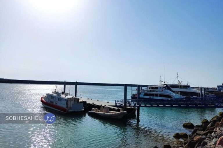 جذابیتی در سرکوب استخدام اتباع غیرمجاز – جدیدترین ممنوعیت ها و جزئیات