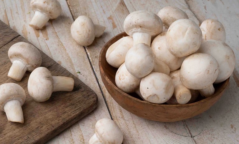 7 راه ساده برای شناسایی قارچ های عالی و باکیفیت