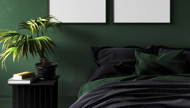 جادویی نمی‌آید به اتاق خواب! گیاهانی که بهتر است از آن‌ها در اتاق خواب دوری کنید.