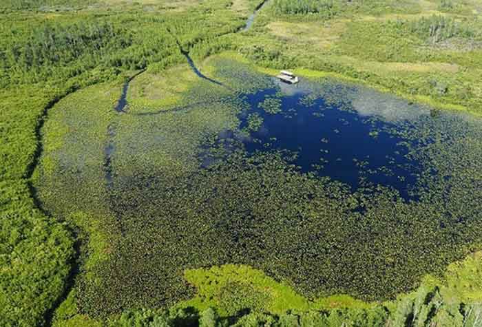 درگیری با تعبیر خواب باتلاق: انسانیت یوسف و امام صادق در میراث باتلاق‌ها و داستان نجات یافتن از باتلاق‌های سبز