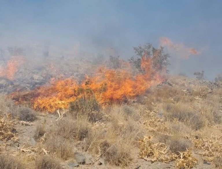 جنگل‌ها و مراتع زیبای شهربابک به آتش سپرده شدند!