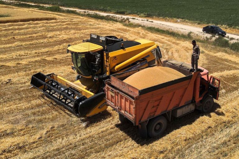 تمام زحمات گندم‌کاران به ارزش ۱۰۰ درصد پاداش داده شد!