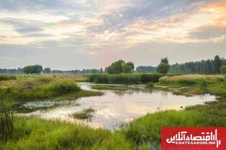از تالاب تا منبع: 1.5 میلیون هکتار از زمین‌های نامناسب کشور به نشانه گرد و غبار تبدیل می‌شوند!