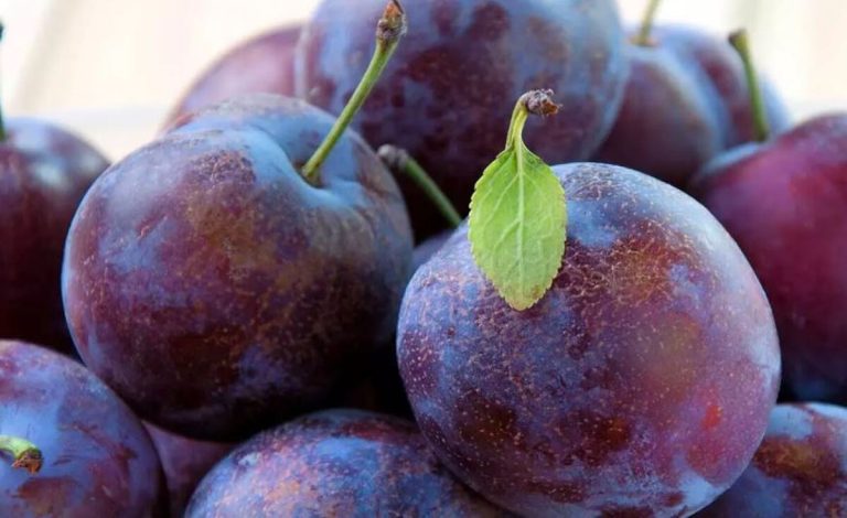 تجربه خواب بهتر و رهایی از استرس با قدرت آلو