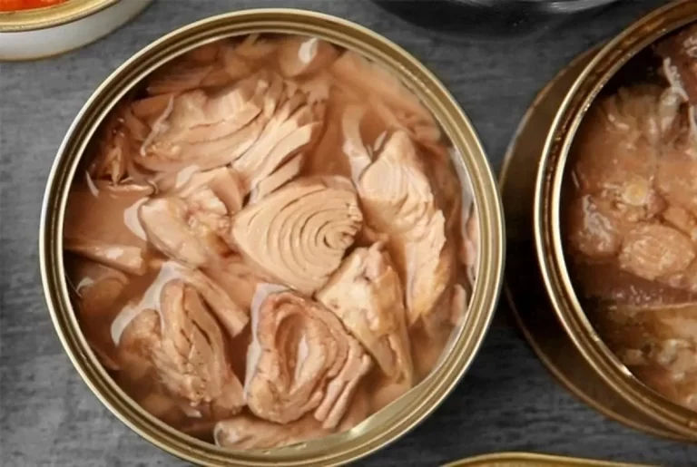 واردات ماهی تن به رقمی جدید افزایش یافت!