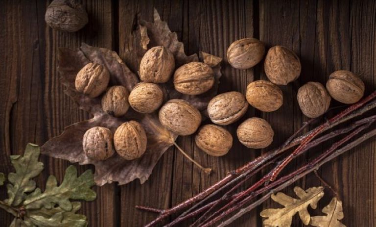 تبدیل حیرت‌آور گردو سنگی به کاغذی با روش‌های خانگی منحصر به فرد