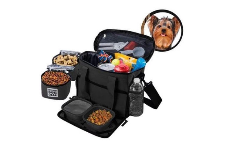 چگونه سگ خود را برای سفر آماده کنیم؟