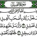 راز تعبیر خواب سوره فیل و راه‌های مختلف برای خواندن و حفظ آن!