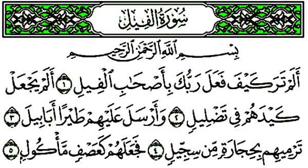 راز تعبیر خواب سوره فیل و راه‌های مختلف برای خواندن و حفظ آن!