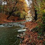 تعبیر خواب آب رودخانه + افتادن در آب رودخانه و طغیان آب رودخانه