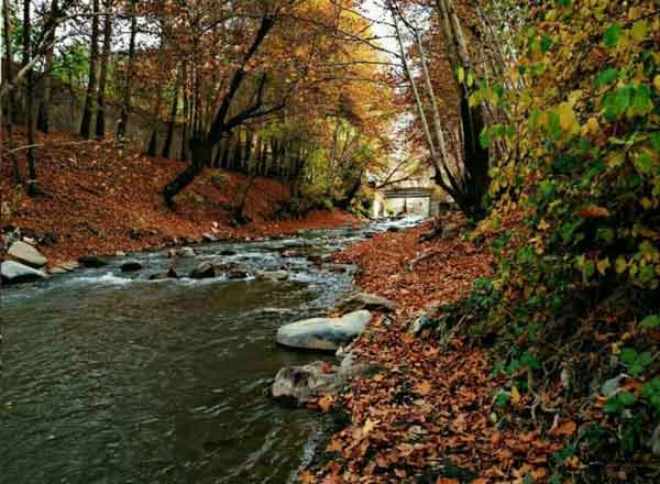 تعبیر خواب آب رودخانه + افتادن در آب رودخانه و طغیان آب رودخانه