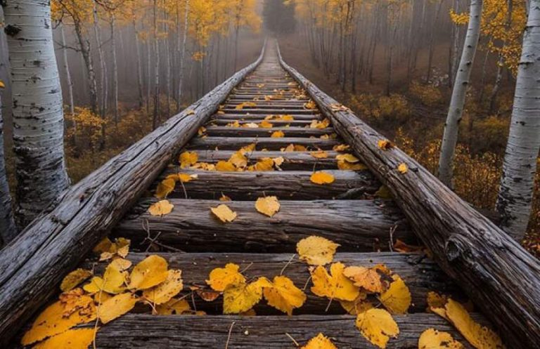 پایگاه خبری تحلیلی اخباربانک – تصاویر شگفت‌انگیز منظره، مرز بین واقعیت و خیال