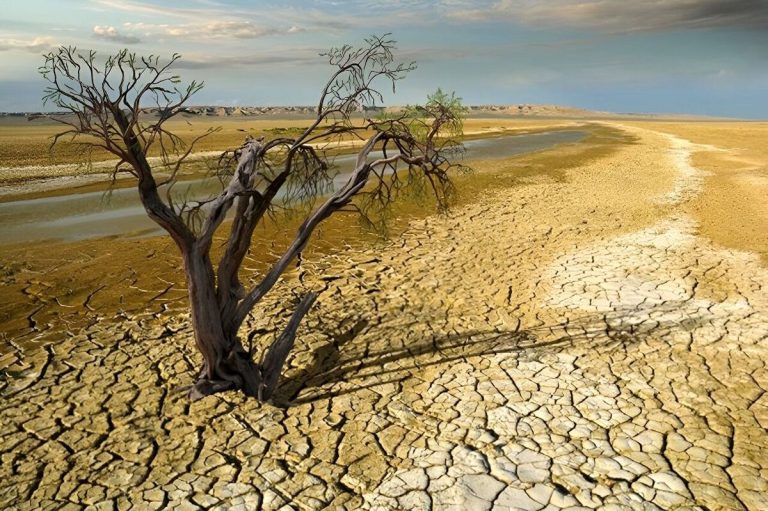 چرا در ایران بارش باران و برف کاهش پیدا کرده است؟ / پشت پرده خشکسالی‌های ایران