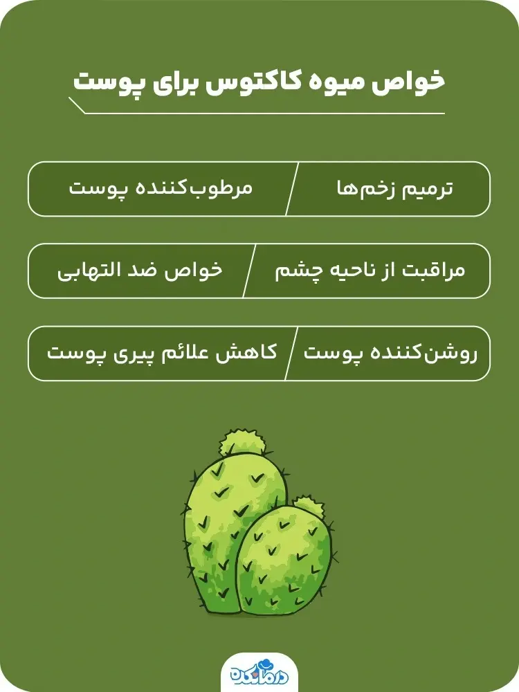 خواص میوه کاکتوس چیست؟ میوه‌ای خاص با فوایدی بی‌پایان!