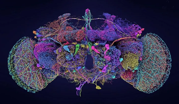دستاورد‌های جذاب علمی جهان در ۲۰۲۴؛ از نقش رودخانه گمشده در ساخت اهرام مصر تا شاهکار فضایی اسپیس‌ایکس