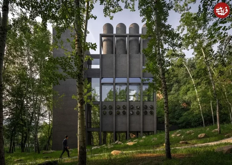 معماری استثنایی یک «حمام» در جنگل‌های چین + عکس