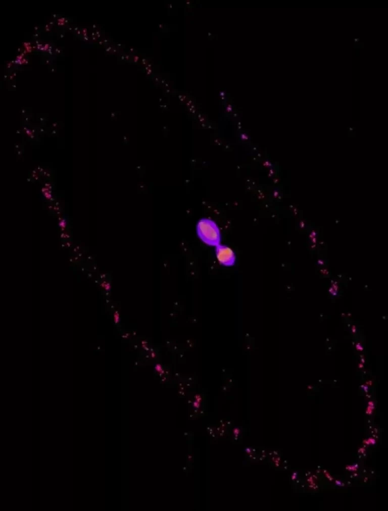 پلوتو بزرگ‌ترین قمرش را با بوسه یخی ۱۰ ساعته تصاحب کرده است!