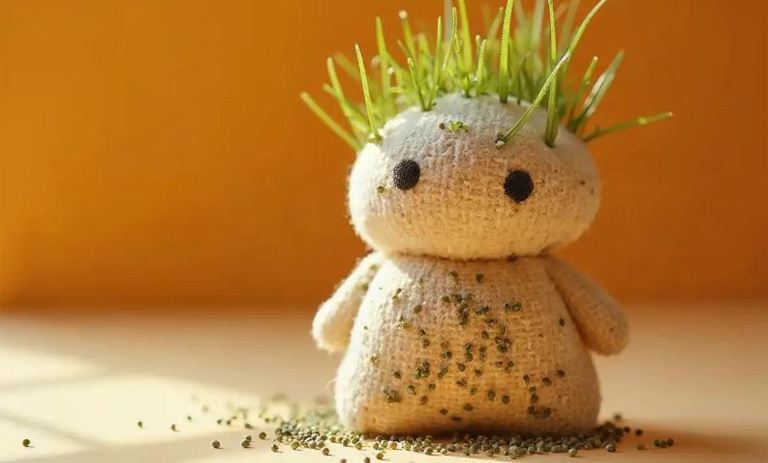 کاشت سبزه عروسکی برای عید (با جوراب، خاک اره و بطری نوشابه)