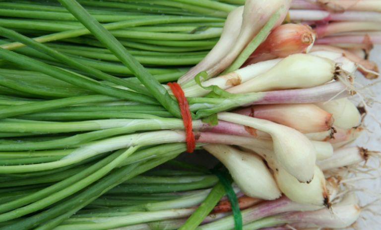 5 کاربرد جالب برگ موسیر در آشپزی سنتی و مدرن