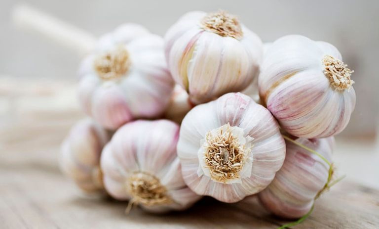 کالری سیر خام چقدر است؟