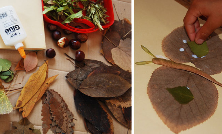 با برگ های خشک شده گیاهان چه کنیم؟+ 5 کاربرد جالب