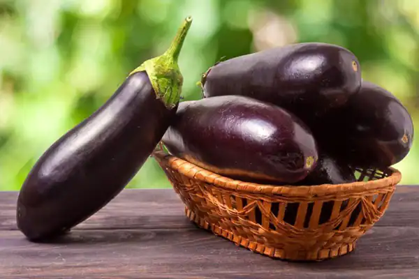 تعبیر خواب بادمجان سیاه برای زن متاهل و باردار و دختر مجرد از روانشناسی